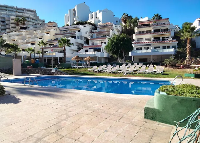 Hibisco Lazy Days Gigantes