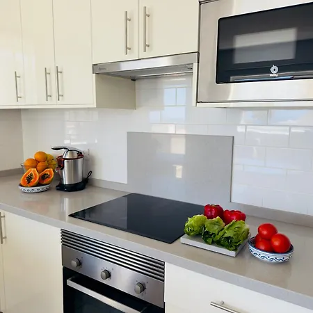 Hibisco Lazy Days Gigantes *