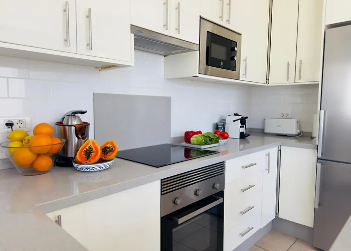 Hibisco Lazy Days Gigantes *